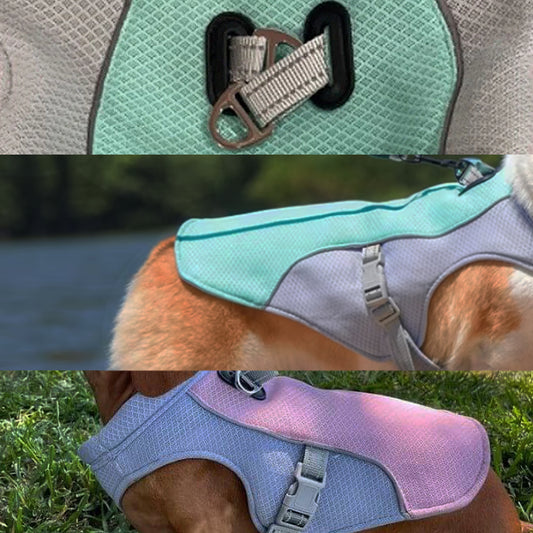 Cool Walk Vest — wearable cooling for active dogs