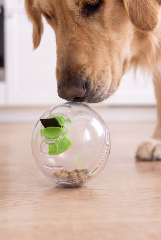 3-in-1 Calm Feeding System