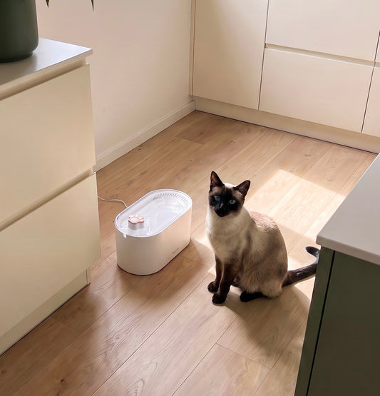 Fresh Flow Cat Fountain