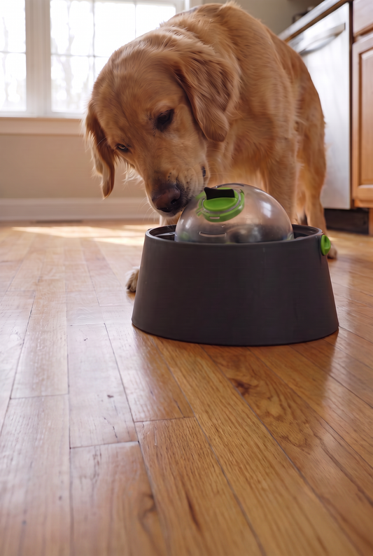 3-in-1 Calm Feeding System