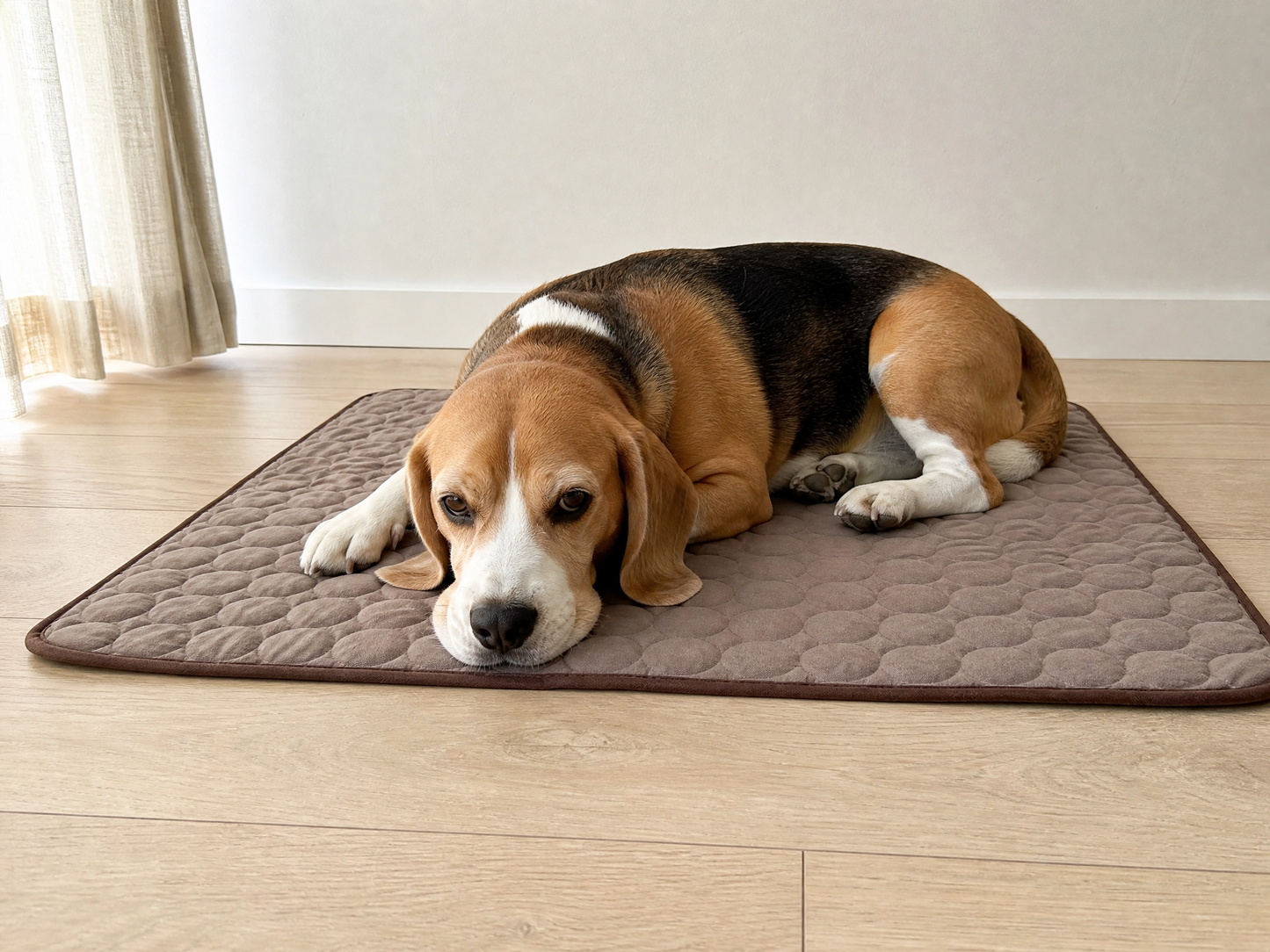 Cool Rest Mat — breathable summer pad for dogs & cats