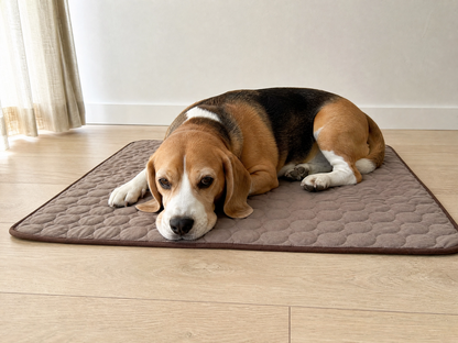 Cool Rest Mat — breathable summer pad for dogs & cats