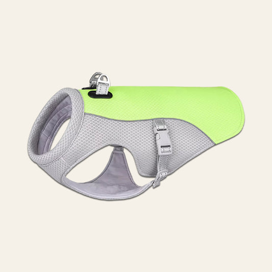 Cool Walk Vest — wearable cooling for active dogs