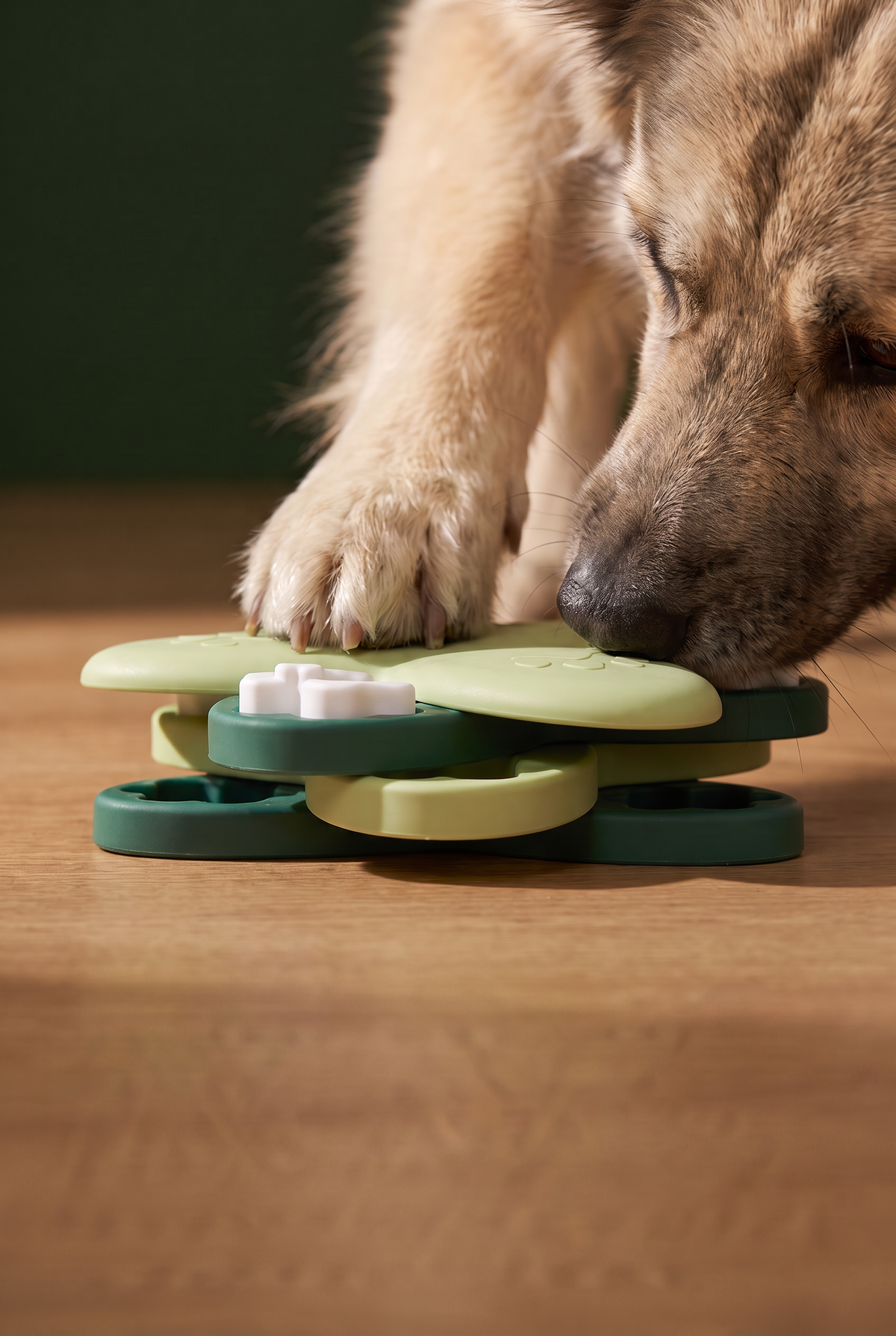 Calm Bowl — Slow Feeder for Dogs