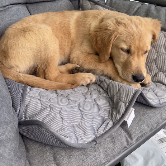 Cool Rest Mat — breathable summer pad for dogs & cats